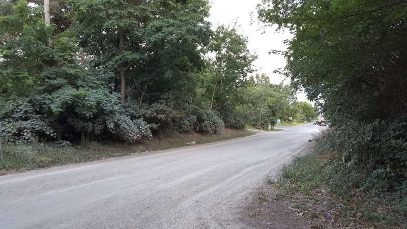 You can see the driveway of Ron’s nearest neighbor on the left side of the gravel road. Trees block direct line of sight.